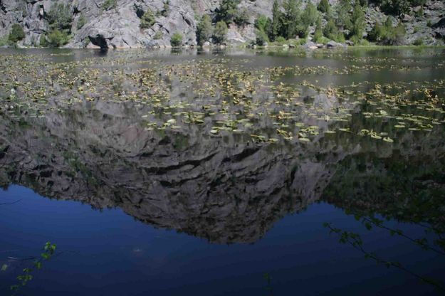 Lilly Pond Reflection. Photo by Dave Bell.