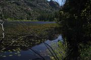 Lilly Pond On Boulder Canyon Trail. Photo by Dave Bell.