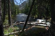 Boulder Creek Bank to Bank. Photo by Dave Bell.