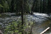 Wide Boulder Creek. Photo by Dave Bell.