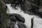 Roaring Boulder Creek. Photo by Dave Bell.