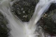 Granite Lichen And Water. Photo by Dave Bell.