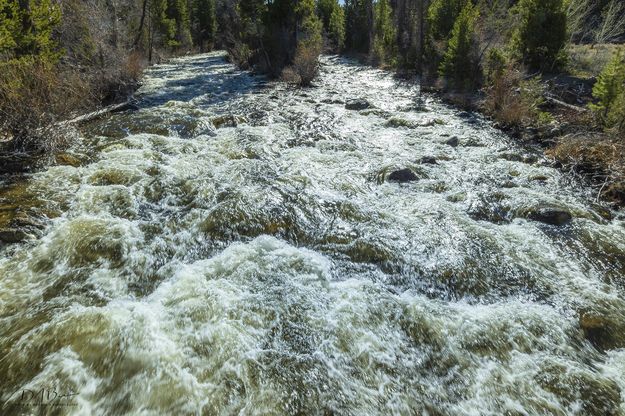 Boulder Creek From The Lower Bridge. Photo by Dave Bell.