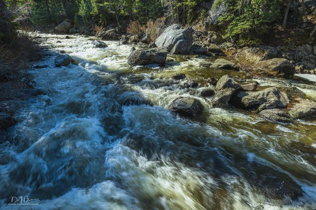 Boulder Creek. Photo by Dave Bell.