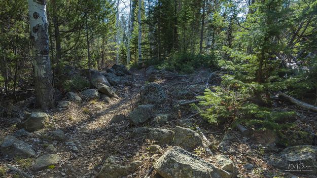 Boulder Canyon Trail. Photo by Dave Bell.