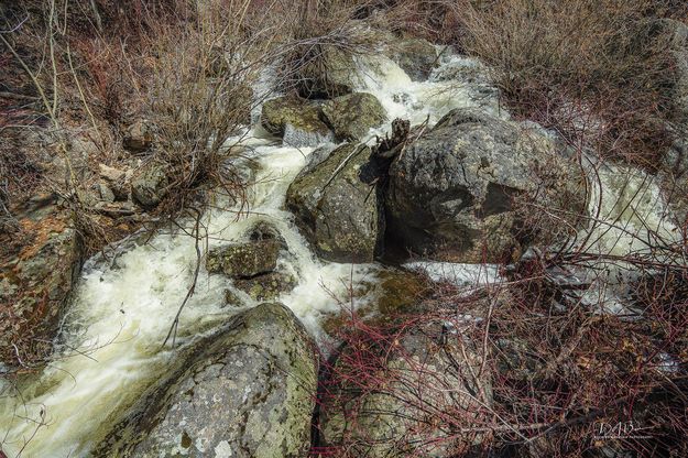 Macs Creek. Photo by Dave Bell.