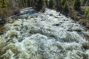 Boulder Creek From The Lower Bridge. Photo by Dave Bell.