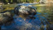 Beautiful Water. Photo by Dave Bell.