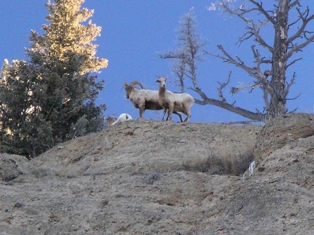 Ridgeline!!. Photo by Dave Bell.