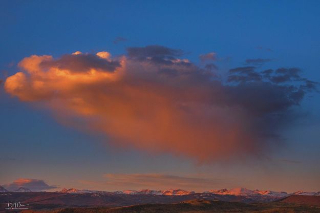 A Summer Like Evening. Photo by Dave Bell.