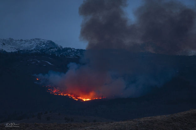 South Fortification Prescribed Burn. Photo by Dave Bell.