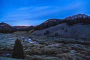 Before Dawn At The Cottonwoods. Photo by Dave Bell.