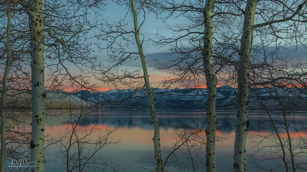 A Morning View. Photo by Dave Bell.