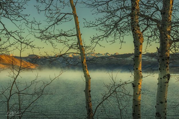 Chilly Early Light. Photo by Dave Bell.