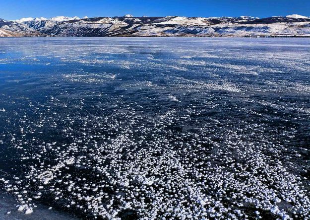 Hoar Frosty Icy. Photo by Dave Bell.