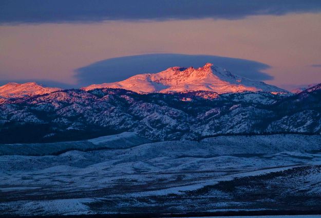 Mt. Glover Pink. Photo by Dave Bell.