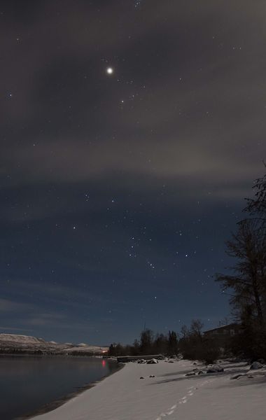 Night Sky Looking Toward Orion. Photo by Dave Bell.