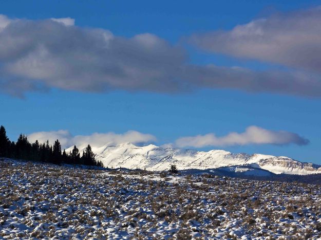 Sawtooth Glory. Photo by Dave Bell.