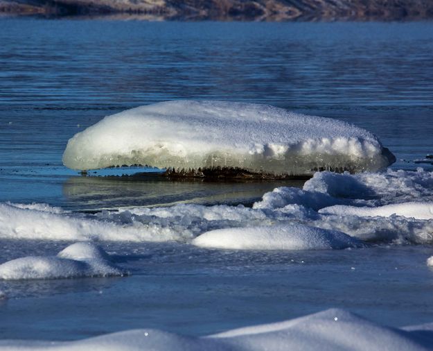 Icing. Photo by Dave Bell.