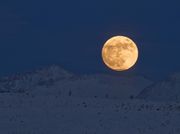 Full Moon. Photo by Dave Bell.