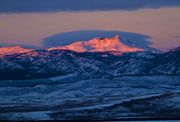 Mt. Glover Pink. Photo by Dave Bell.