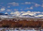 Winter Scenery. Photo by Dave Bell.