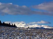 Sawtooth Glory. Photo by Dave Bell.