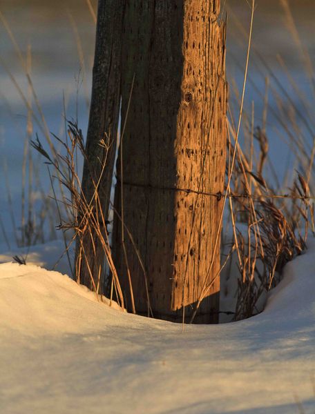 Corner Post. Photo by Dave Bell.