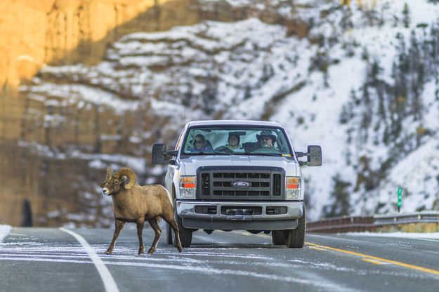 Heavy Traffic. Photo by Dave Bell.