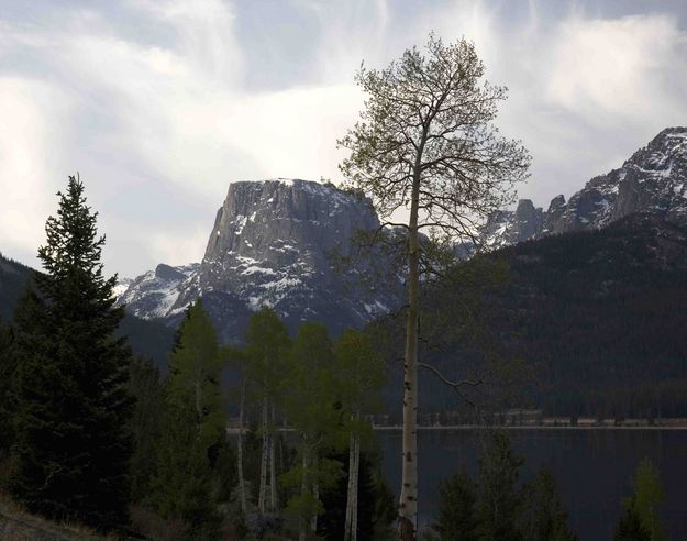 Green Aspens And Squaretop. Photo by Dave Bell.