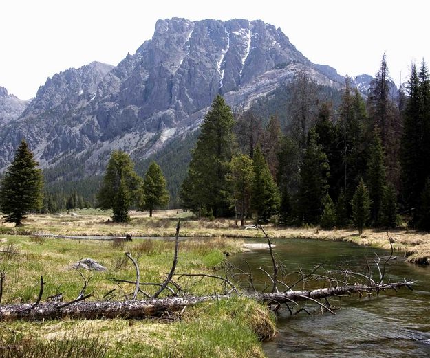 Flat Top Mountain. Photo by Dave Bell.