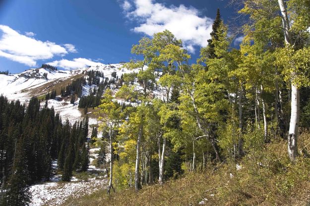 White Peaks. Photo by Dave Bell.