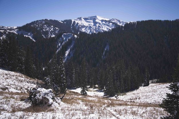 Snowy Climb to Cliff Creek Pass. Photo by Dave Bell.