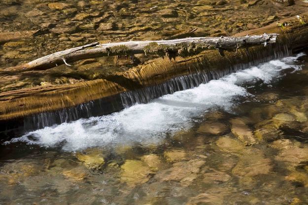 Small Waterfall In Cliff Creek. Photo by Dave Bell.