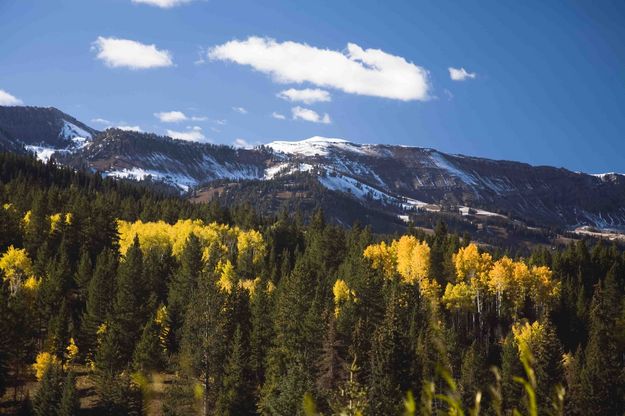 High Country. Photo by Dave Bell.