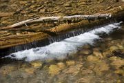 Small Waterfall In Cliff Creek. Photo by Dave Bell.