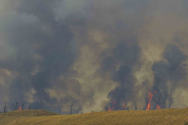 War Zone. Photo by Dave Bell.