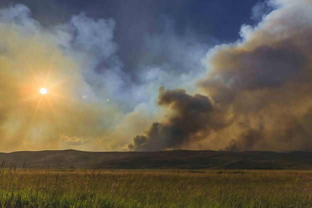 The View From Dell Creek Road. Photo by Dave Bell.