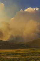 Towering Smoke Cloud. Photo by Dave Bell.