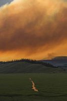 Lower Jack Creek Basin. Photo by Dave Bell.