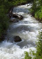 Rollin' Cliff Creek. Photo by Dave Bell.