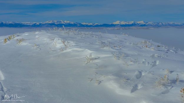 White Mountains. Photo by Dave Bell.