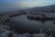 Foggy Blue Hour. Photo by Dave Bell.