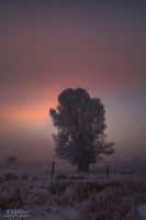 Morning Awe. Photo by Dave Bell.