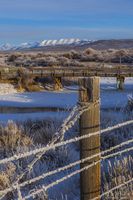 Cold Morning. Photo by Dave Bell.