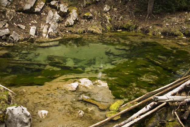 Fish Bowl Spring. Photo by Dave Bell.