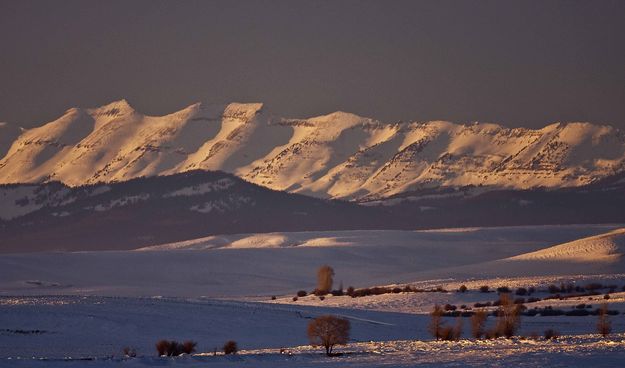 Sawtooth White Sundown Light. Photo by Dave Bell.