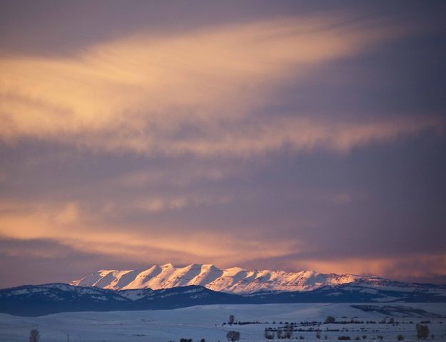 White Light. Photo by Dave Bell.