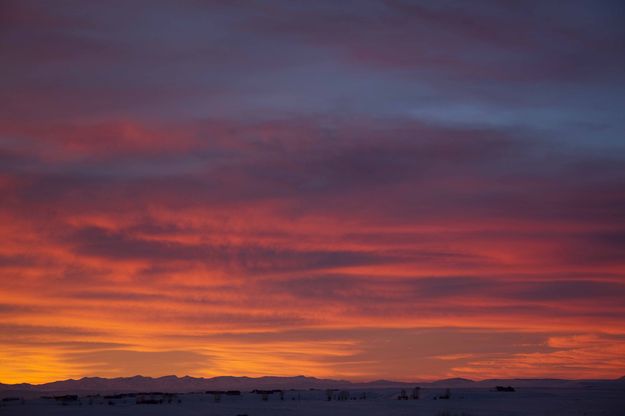 Intense Range Of Color. Photo by Dave Bell.