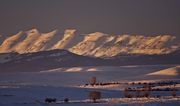 Sawtooth White Sundown Light. Photo by Dave Bell.